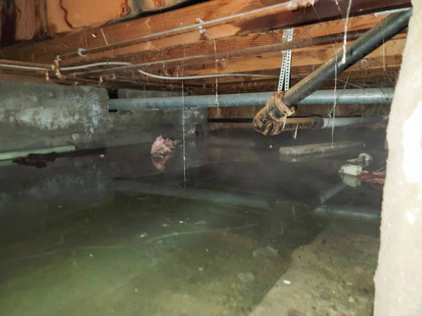 Professional Water damage restoration in WA