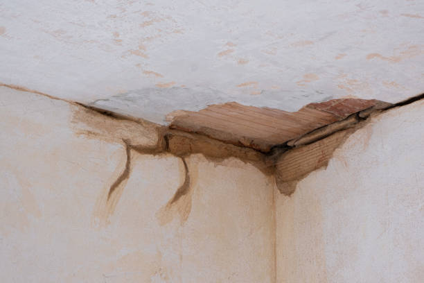 Water damage restoration mold remediation in WA