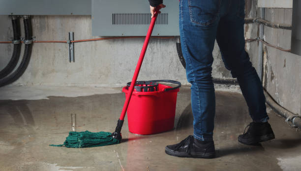 Best Professional water damage repair  in Artondale, WA