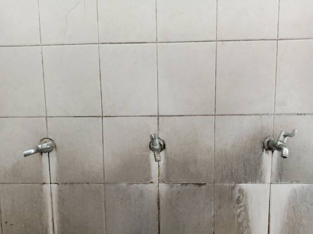 Best Carpet water damage restoration  in Artondale, WA