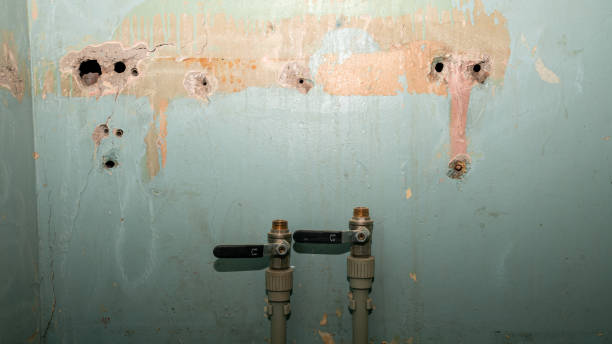 Best Commercial water damage restoration  in Artondale, WA