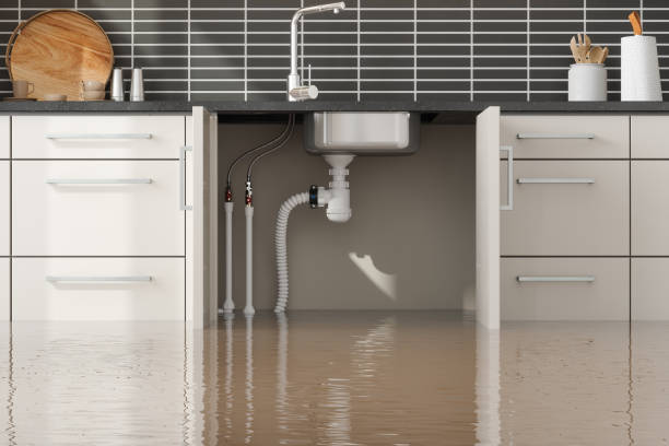 Best Basement water damage restoration  in Artondale, WA