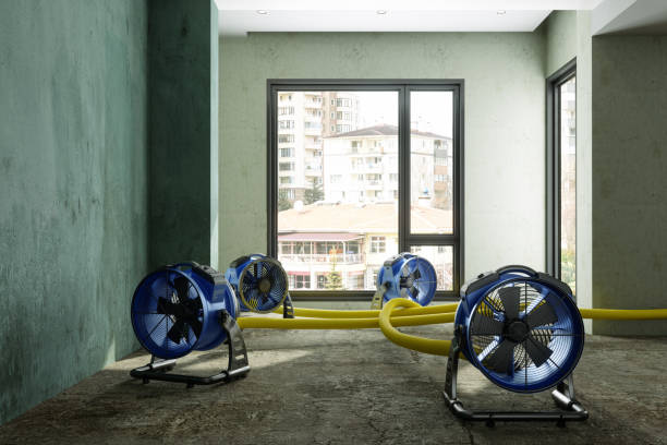 Best Fire Damage Restoration  in Artondale, WA