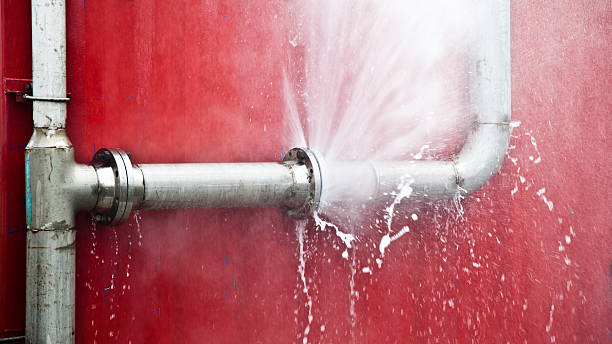Best Local water damage restoration  in Artondale, WA